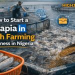 How to start a Tilapia fish farming business in Nigeria in 2026 2 How to start a Tilapia fish farming business in Nigeria in 2026
