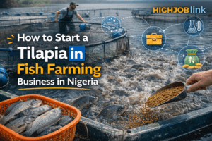 How to start a Tilapia fish farming business in Nigeria in 2026