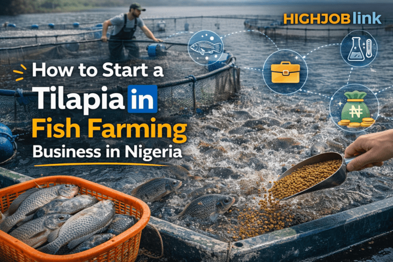 How to start a Tilapia fish farming business in Nigeria in 2026